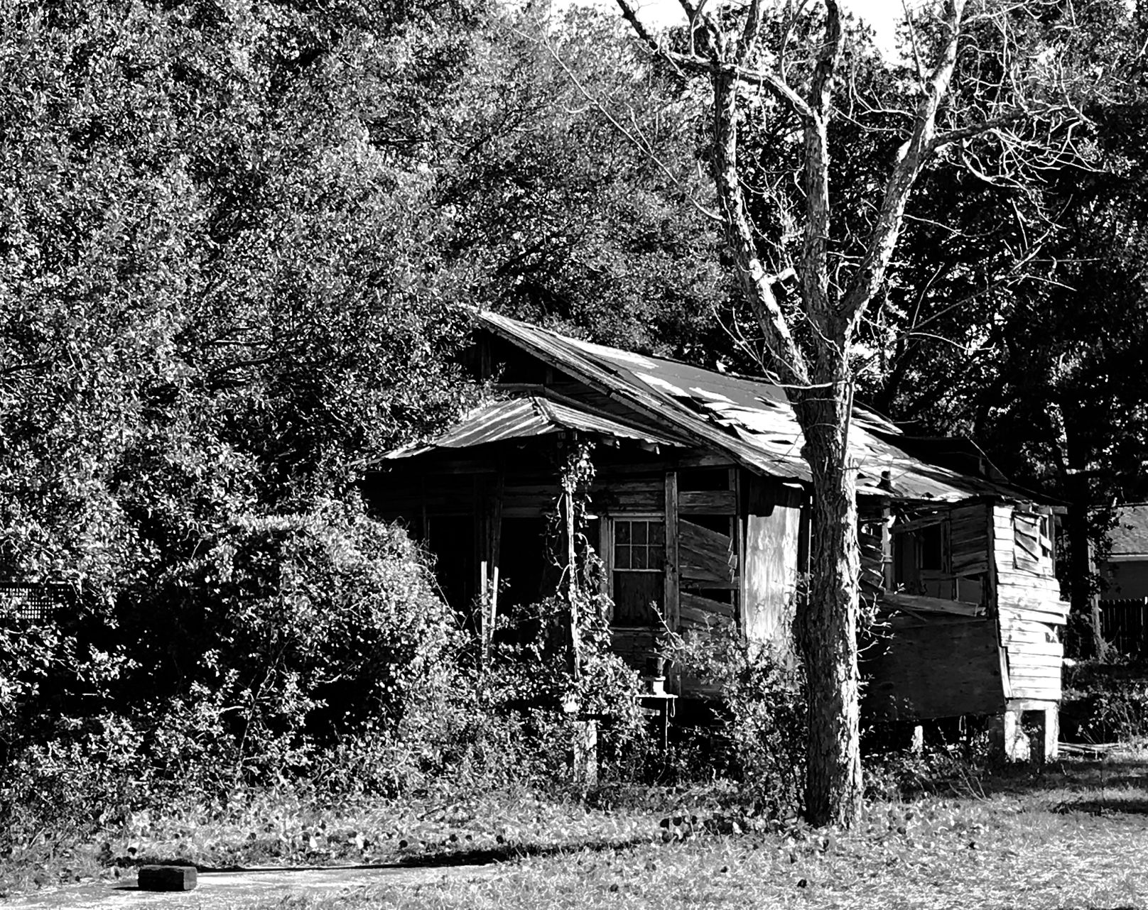 Old House
